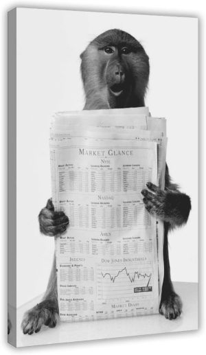 Surprised Monkey Reading Stock Mark...