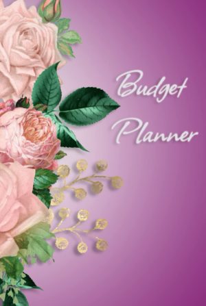 Budget Planner: Budgeting Notebook/...