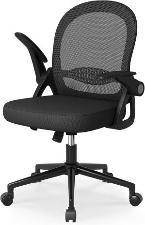 naspaluro Home Office Chair Ergonom...