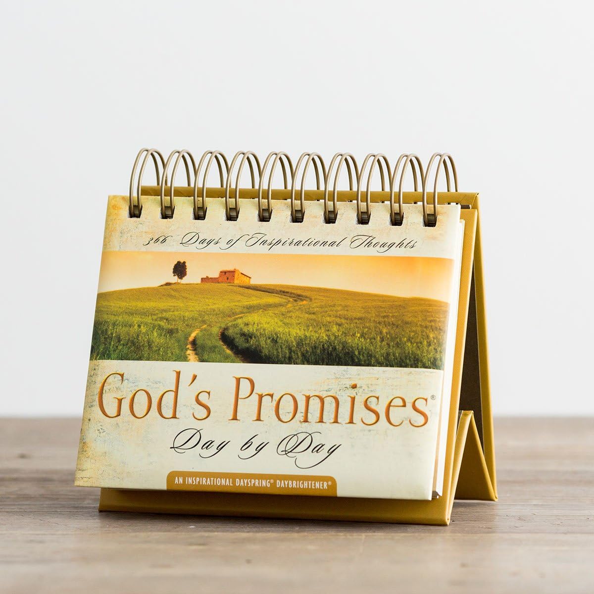 God's Promises Day by Day: 365 Inspiring Thoughts - Perpetual Calendar DayBrightener from DaySpring - Image 5