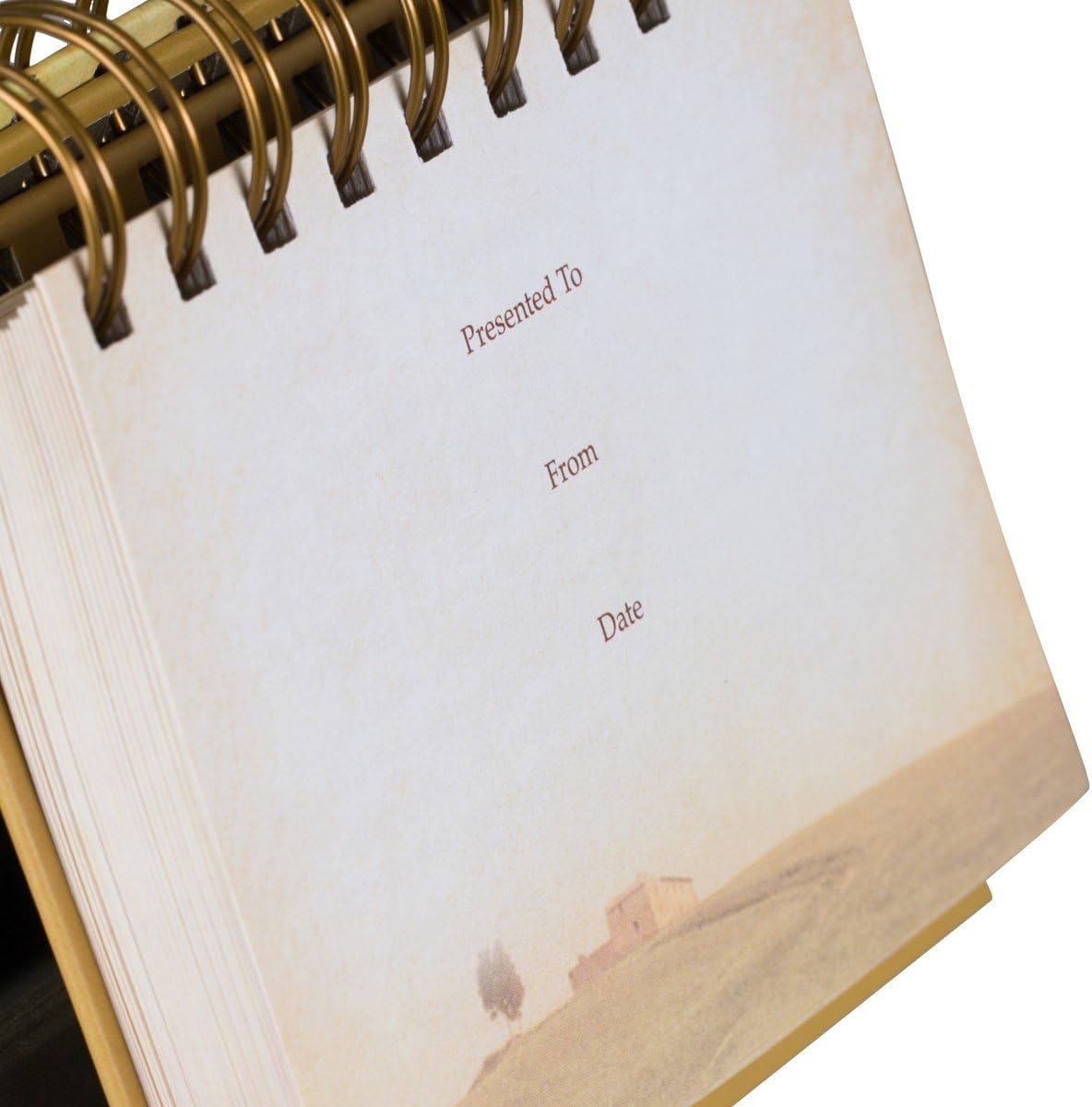 God's Promises Day by Day: 365 Inspiring Thoughts - Perpetual Calendar DayBrightener from DaySpring - Image 4