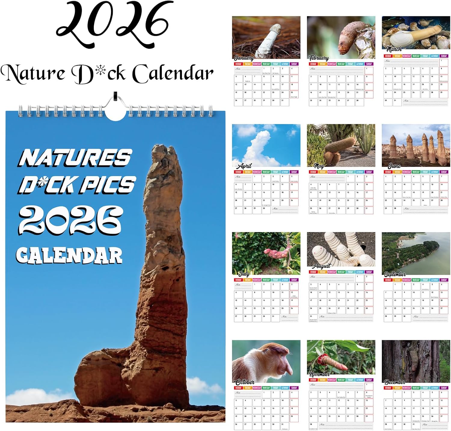 Funny Calendar 2026, Rude Secret Santa Gifts for Women or Men, Joke Christmas Stocking Filler Gifts of Natural Things Ideas Wall Monthly Planner Presents(Multicolor-Natural D) - Image 5