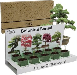 Pronto Seed Grow Your Own Bonsai Tr...