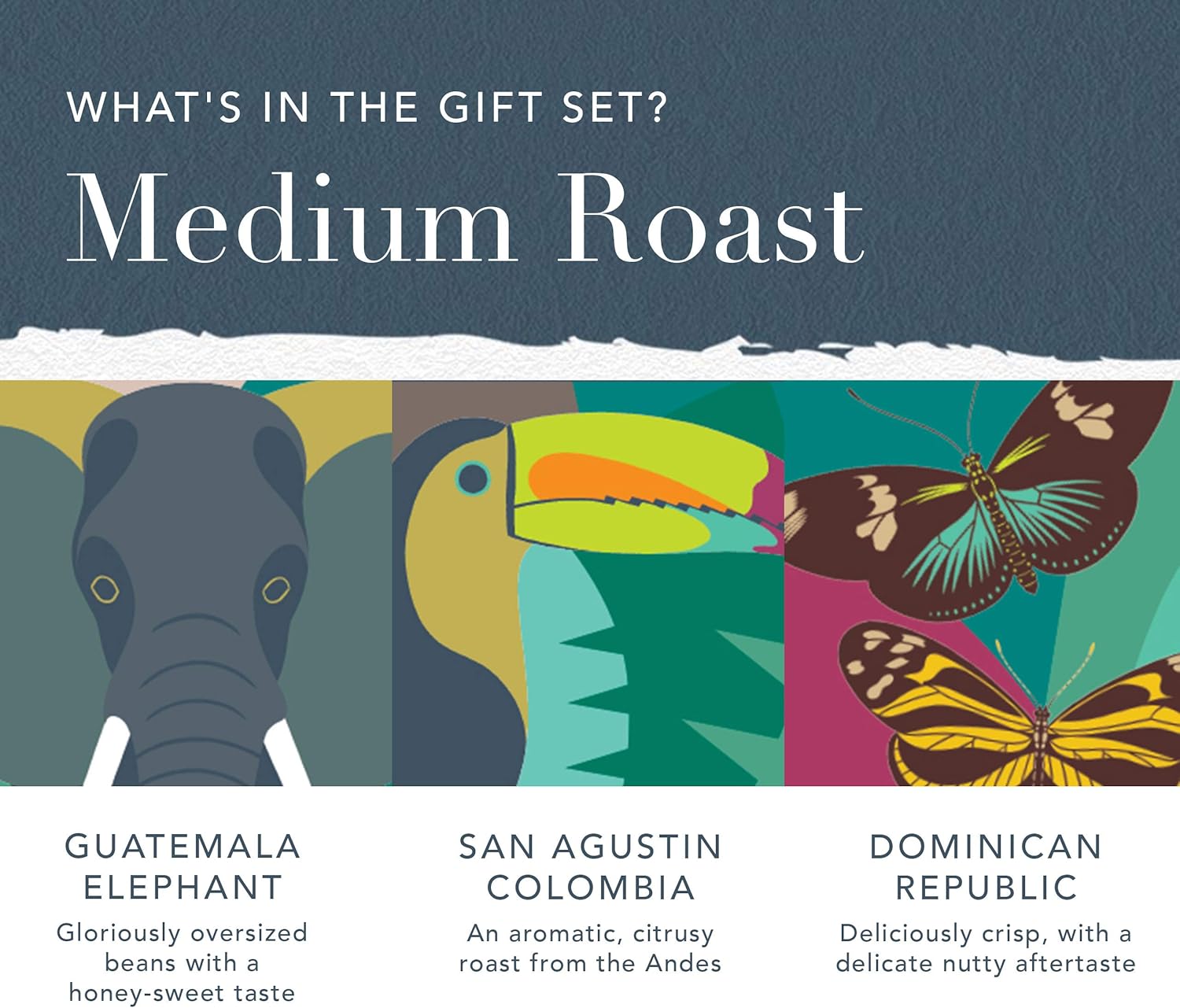 Whittard of Chelsea | Coffees of the World Gift Set For Men & Women | 9 Boxes of Single Origin Ground Coffee | Brews up to 72 cups | 9 x 66g Ground Coffee Bags - Image 3