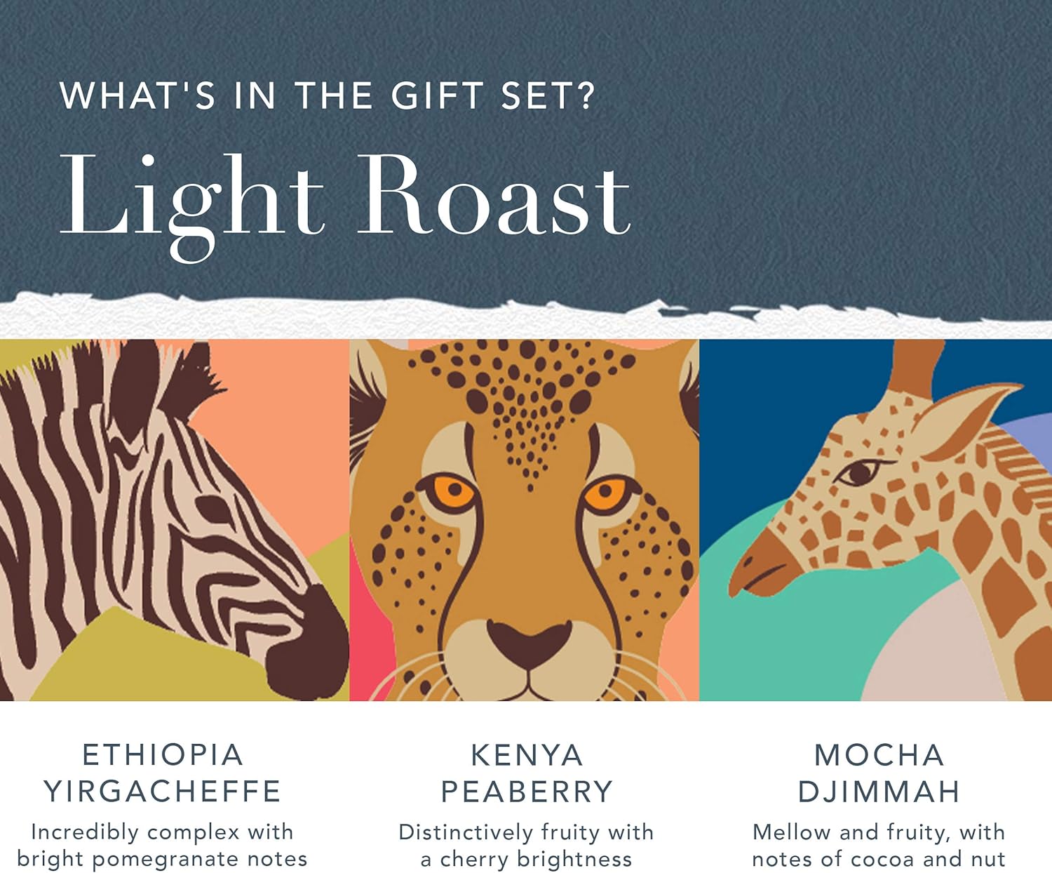 Whittard of Chelsea | Coffees of the World Gift Set For Men & Women | 9 Boxes of Single Origin Ground Coffee | Brews up to 72 cups | 9 x 66g Ground Coffee Bags - Image 4