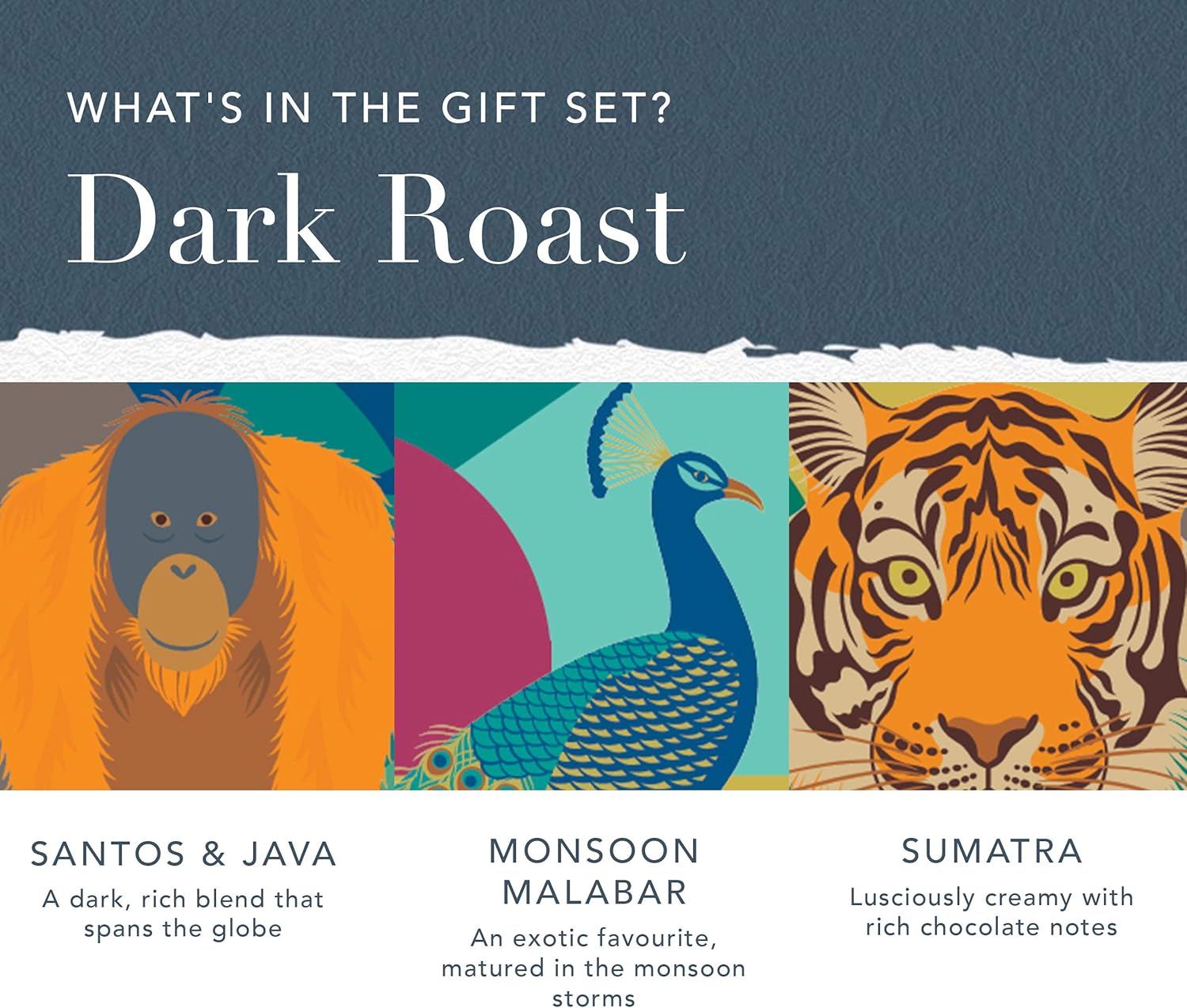 Whittard of Chelsea | Coffees of the World Gift Set For Men & Women | 9 Boxes of Single Origin Ground Coffee | Brews up to 72 cups | 9 x 66g Ground Coffee Bags - Image 2