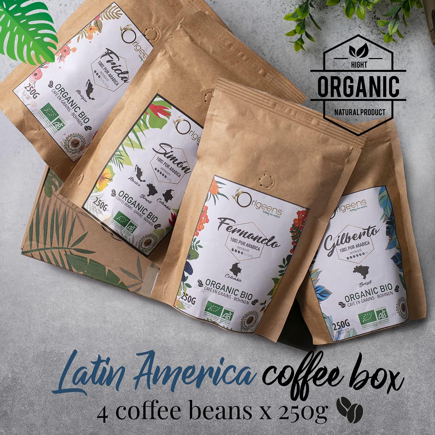 Organic Coffee beans | Arabica Whole Beans 4x250g | Hand-roasted | Coffee Gift Idea - Image 2