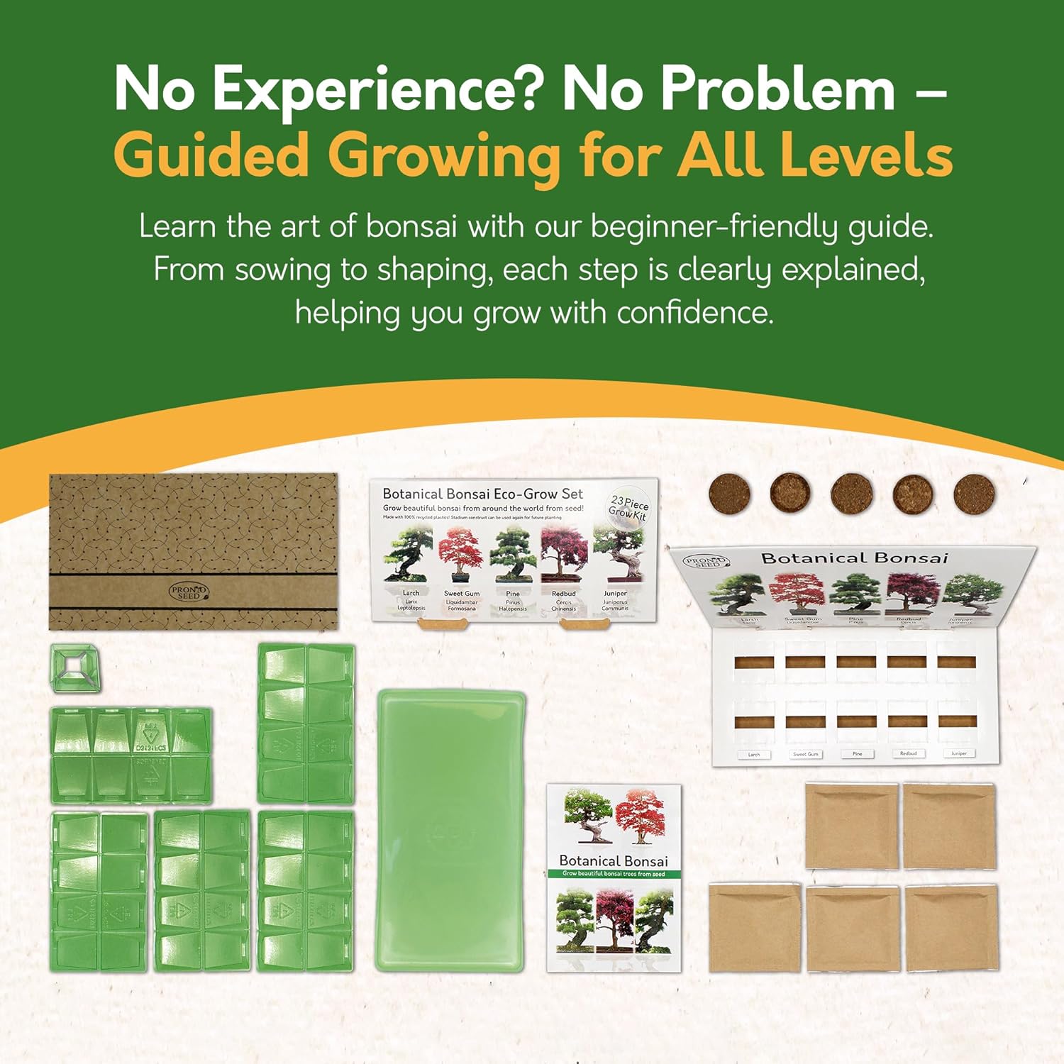 Pronto Seed Grow Your Own Bonsai Tree Kit with 5 Seed Varieties - Indoor Growing Set with Sustainable Packaging Display - Gift for Women, Men - Beginner-Friendly - Image 5