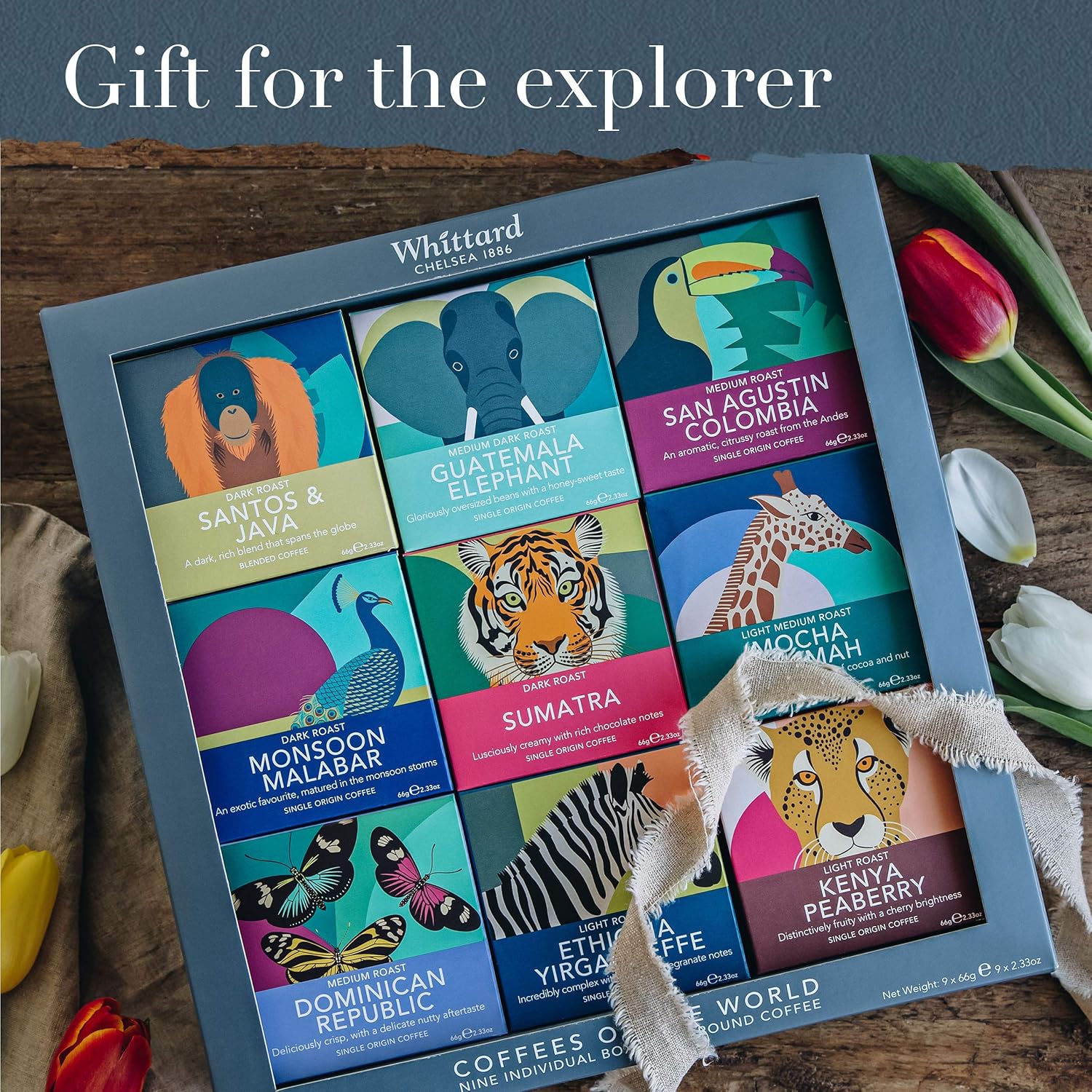 Whittard of Chelsea | Coffees of the World Gift Set For Men & Women | 9 Boxes of Single Origin Ground Coffee | Brews up to 72 cups | 9 x 66g Ground Coffee Bags - Image 6