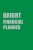 Bright Financial Planner: Lined Journal Book Gift For Bright Financial Planner; Notebook or Diary with 110 pages (6×9 inches)